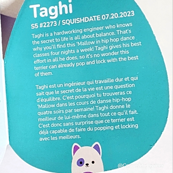 TAGHI 🐶 5" White, Blue & Purple Bull Terrier Dog Squishmallow NWT - Picture 3 of 8